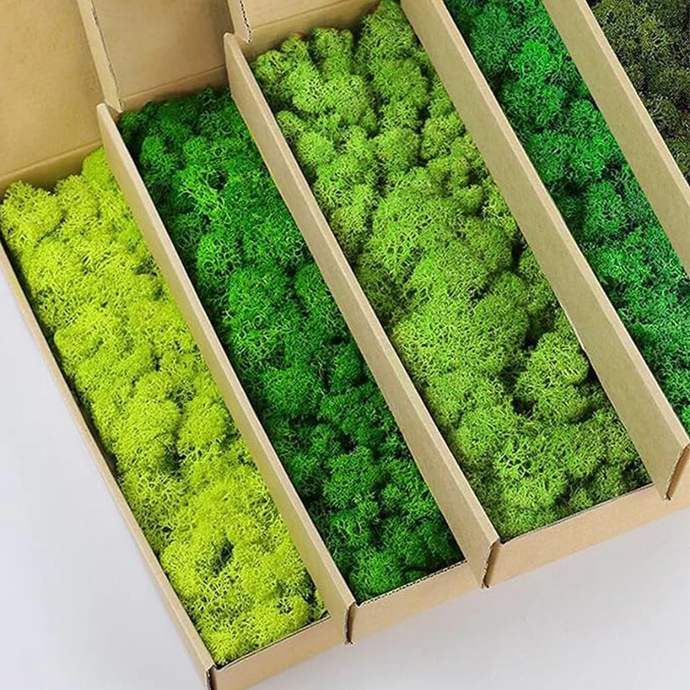 Plantas verdes artificiales de - Sphagnum Moss Dry reseña y precio