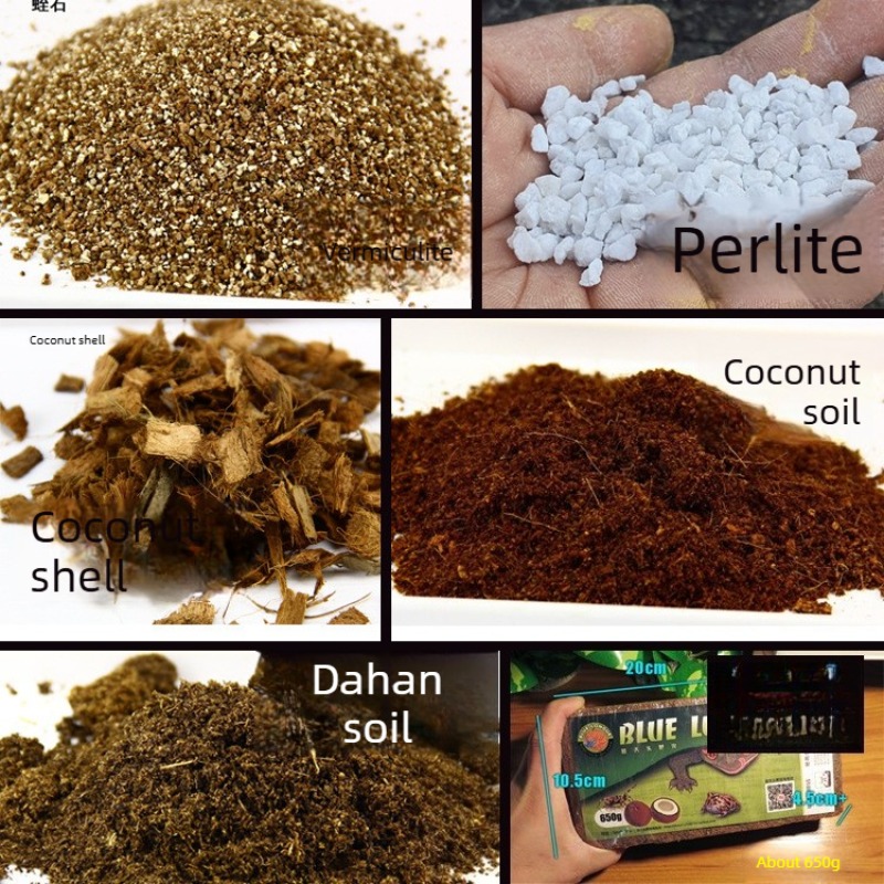 Ladrillo de fibra de coco para - Sphagnum Moss Dry reseña y precio