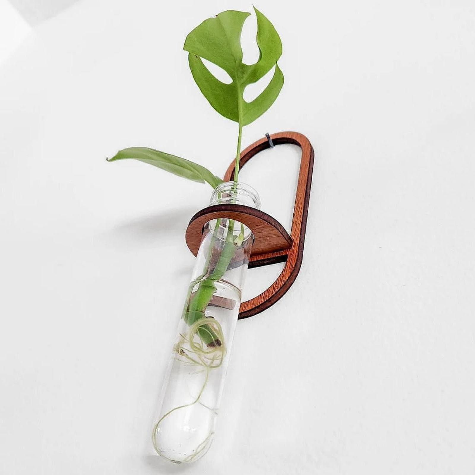 Jarrón para plantas hidropónic - Propagation Station Vase reseña y precio
