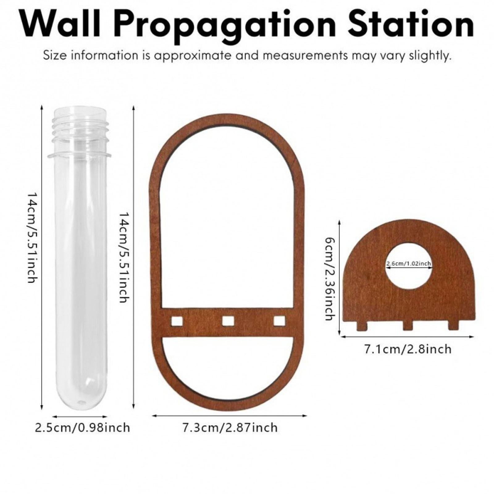 Jarrón para plantas hidropónic - Propagation Station Vase reseña y precio