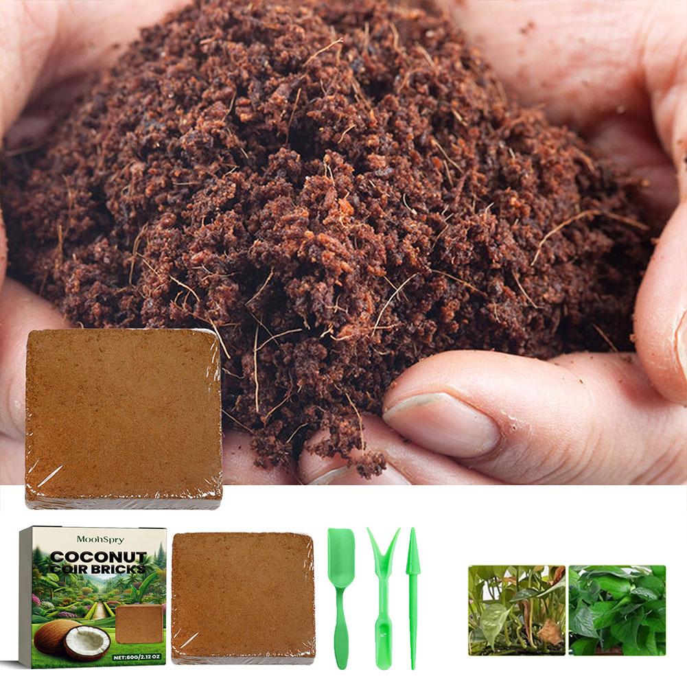 Ladrillo de Fibra de Coco - Su - Sphagnum Moss Dry reseña y precio