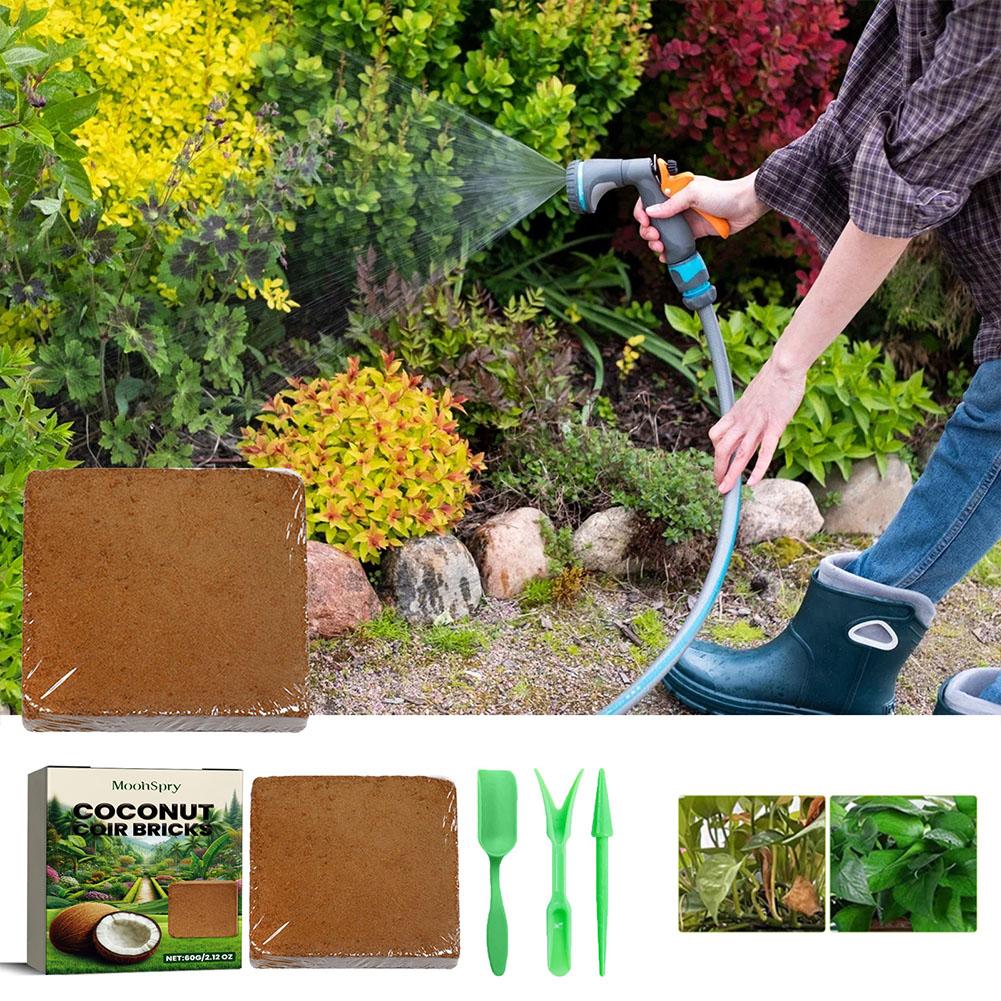 Ladrillo de Fibra de Coco - Su - Sphagnum Moss Dry reseña y precio