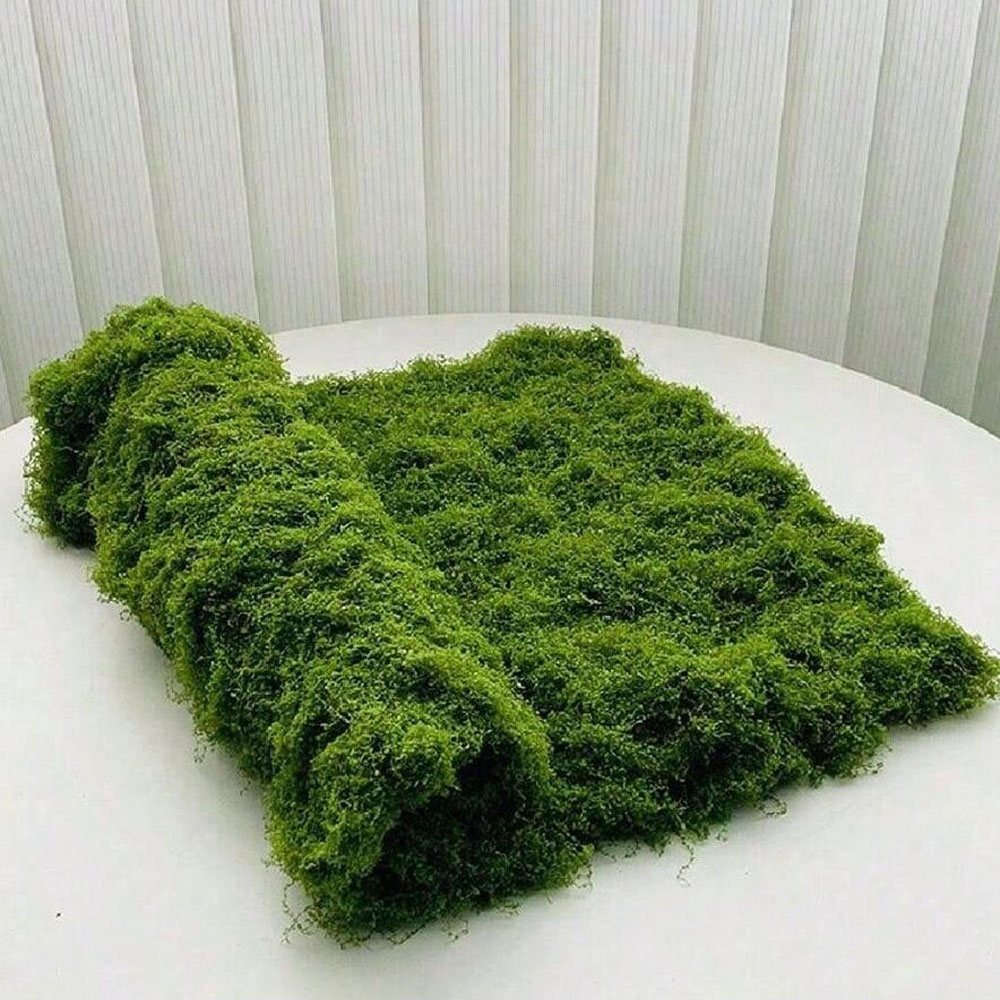 1*1m musgo falso manualidades  - Sphagnum Moss Dry reseña y precio