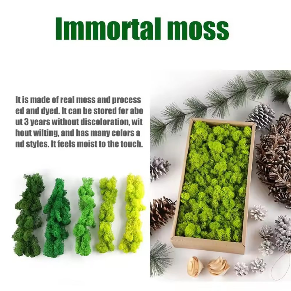 Musgo Artificial de Larga Dura - Sphagnum Moss Dry reseña y precio