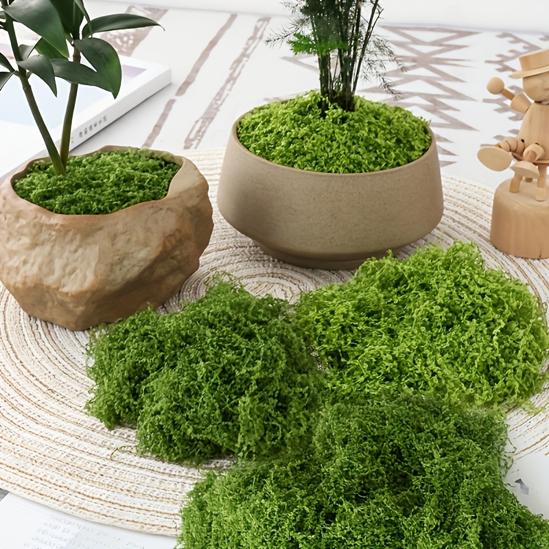 Paquete grande de musgo Artifi - Sphagnum Moss Dry reseña y precio